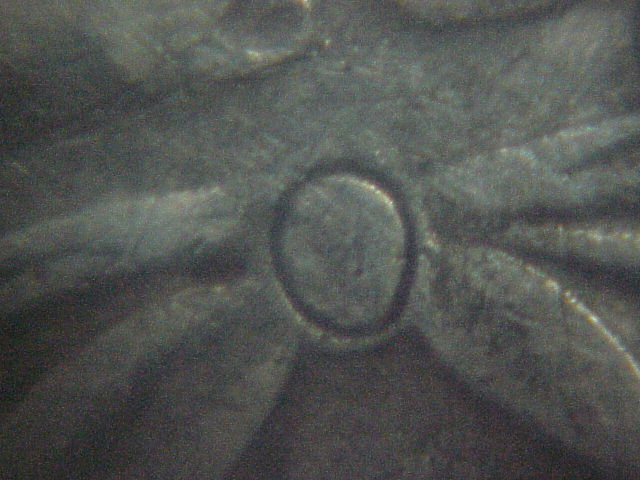 1836-Capped-Bust-Half-Dollar,-O-122