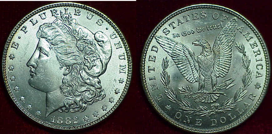 1882-P-Morgan,-Raw----Your-Grade