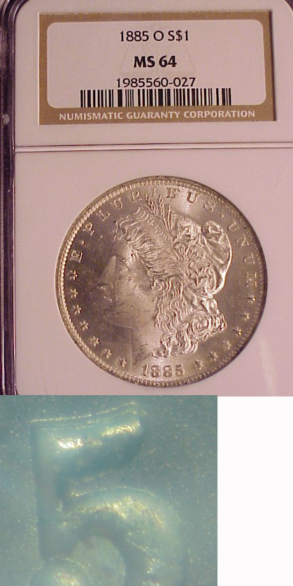 Couple-Of-Unusual-Morgans