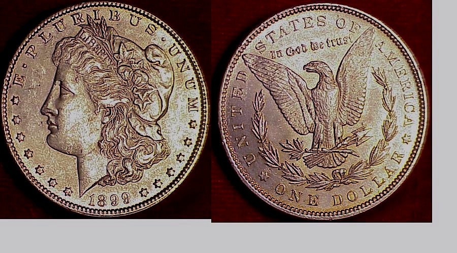 1899-Morgan-Dollar
